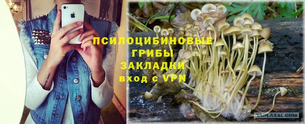 соль курить ск Дмитровск