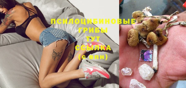 MDMA Premium VHQ Дмитриев