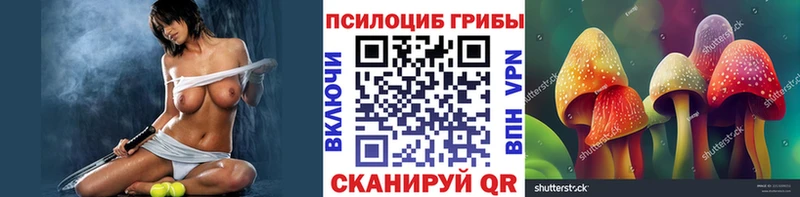 Купить закладки Полярный Галлюциногенные грибы мицелий